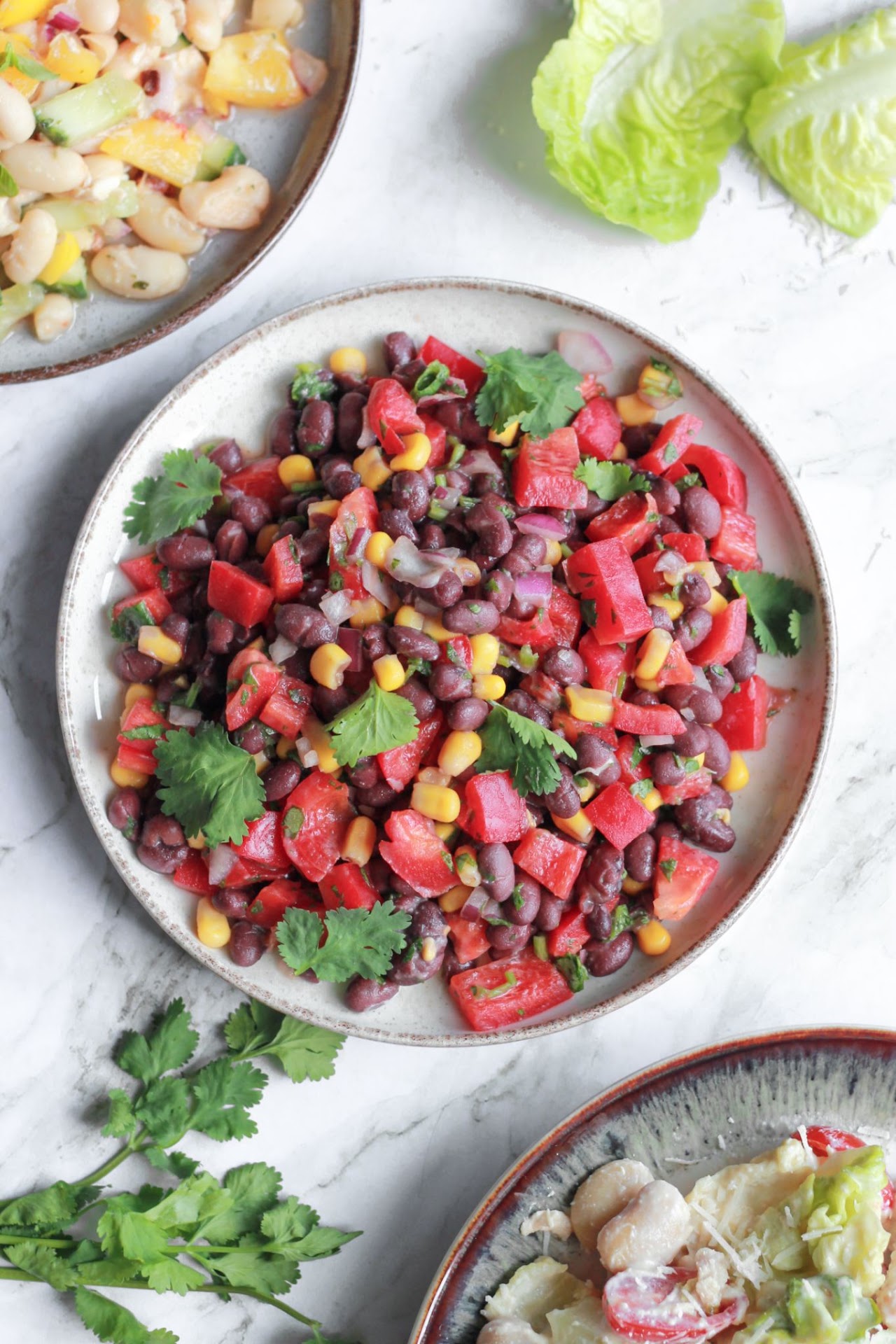 Cilantro lime dense bean salad